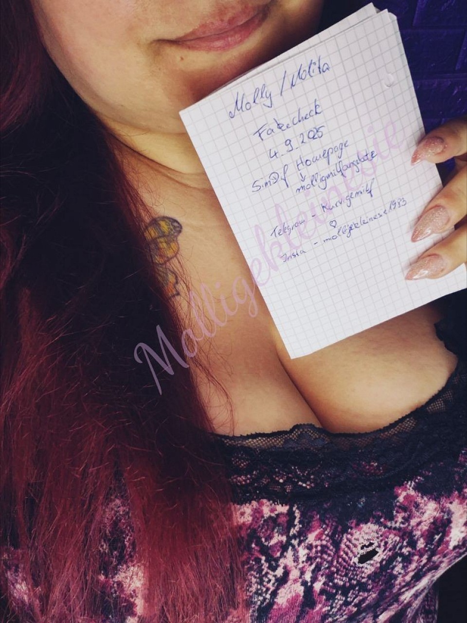 fakecheck insta telegram homepage molligekleinesie